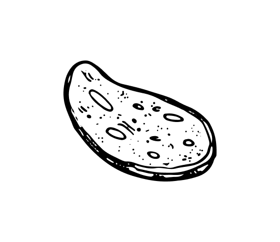 自家製ソーセージ