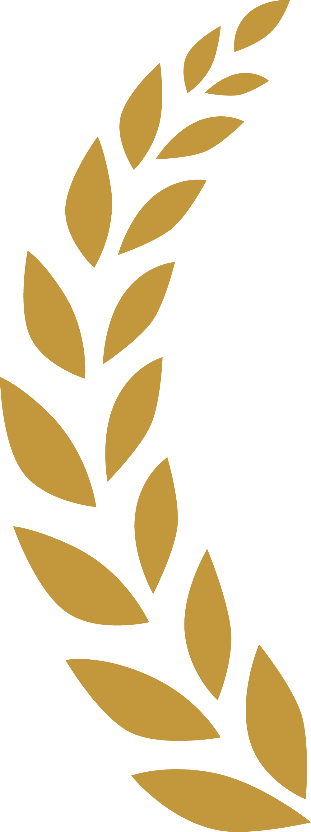 アセット 1@1000x-8