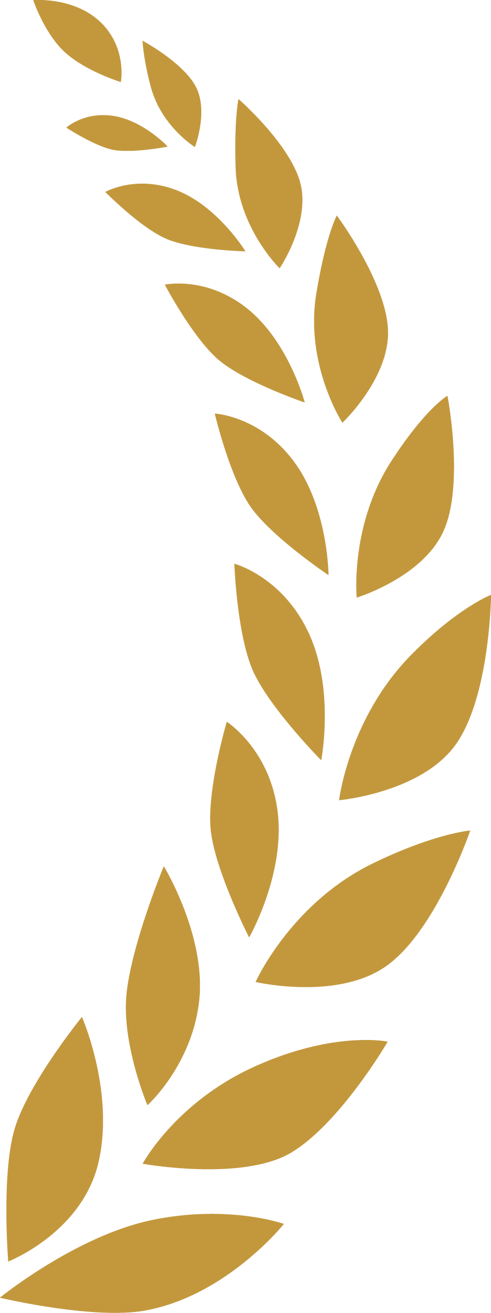 アセット 2@1000x-8